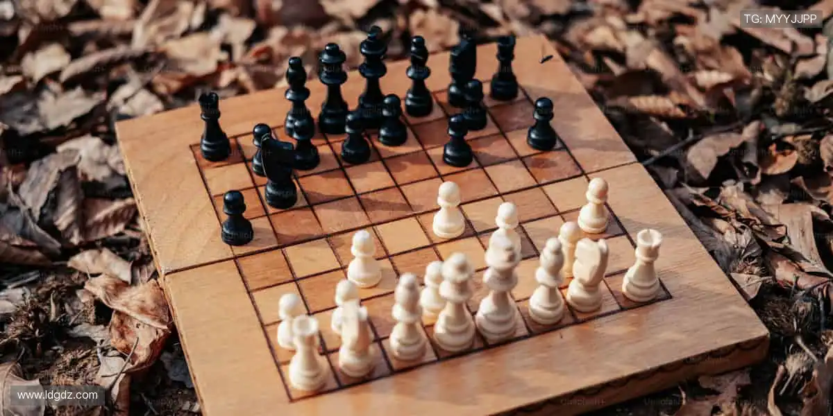 👟潮动全场，装备升级你的运动 DNA！🎁